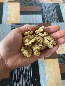 Prodám vlašské ořechy