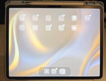 iPad Air 13 inch + Apple Pencil pro