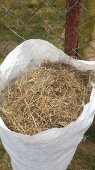 Prodám jemné seno z krátké trávy pro drobné mazlíčky