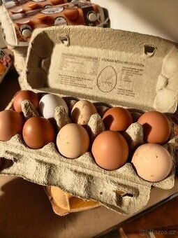 Domácí vajíčka