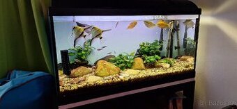 Prodám aquarium