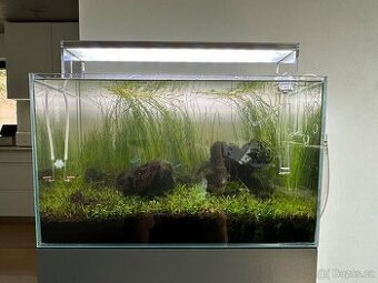 Kompletní set - akvárium 63 l včetně rostlin a živočichů
