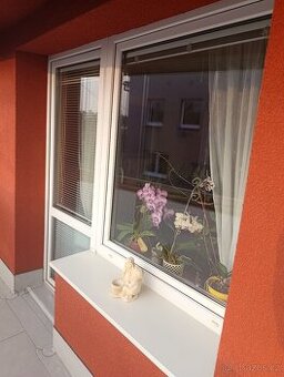 Dveře a okno