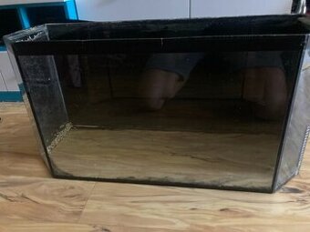 terarium