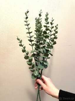 2 kusy eucalyptusu/ nove  190,- za oba