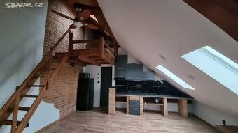 Pronájem bytu 1+kk na Slovanech, ulice Kapitána Jaroše, Plze