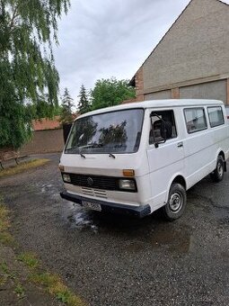 Lt 31