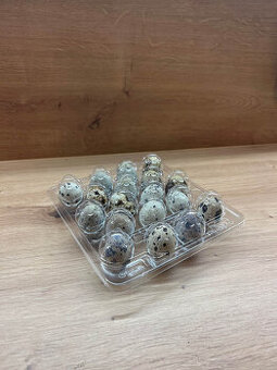 Krabičky / obaly / blistry na 18ks křepelčích vajíček