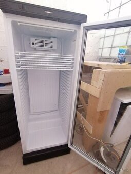 Prosklená lednice Tefcold FS1280-l