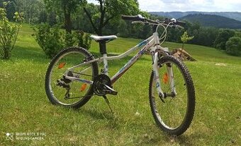 Superior Paint 24 Junior sport
