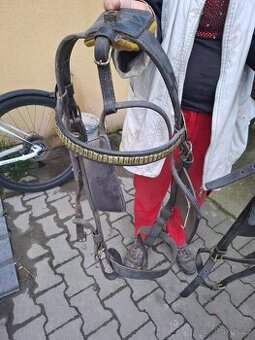Kočárové uzdečky