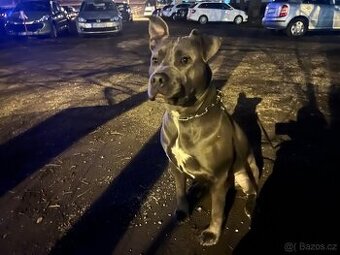 Daruji do dobrých rukou