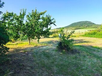 Pronájem zahrady - 1