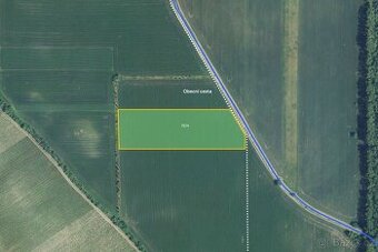 Zemědělská půda, prodej, Dolní Dunajovice, Břeclav