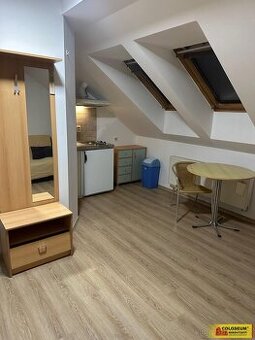 Brno - Královo Pole, pronájem bytu OV 1+kk, 28m² - byt