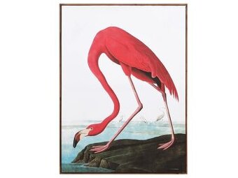 Stylový obraz Flamingo 113x83 cm