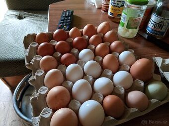 Nasadová vejce dvorkovy mix
