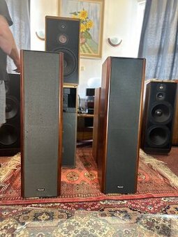Magnat MSP 300