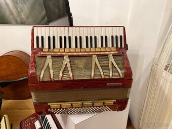 Predam akordeon delicia