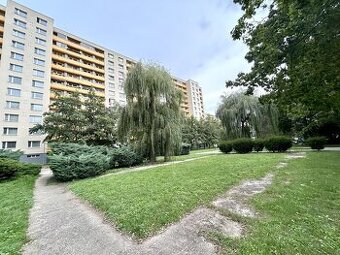 Prodej prostorného bytu 3+1 upravený na 4+1, 4x lodžie, Hrad