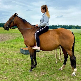 Hledám životního parťáka 🐎