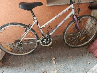 Kolo Author ultima 26