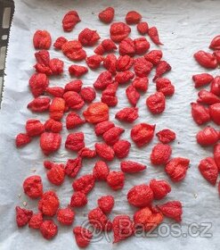 INFINITY CHILLI PEPPER