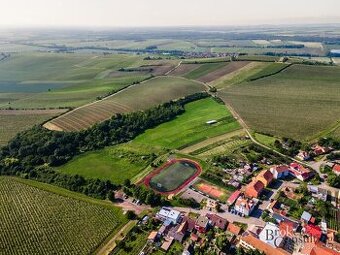 Prodej, pozemky/vinice/sady, 256256 m2, Zaječí, Břeclav [ID 
