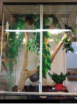 Terárium pro chameleona 40x40x80cm nepoužité nové,bez vybave