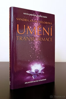 Sandra Anne Taylor: Umění transformace