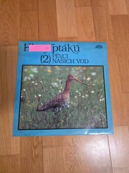 Vinylová deska Hlasy ptáků