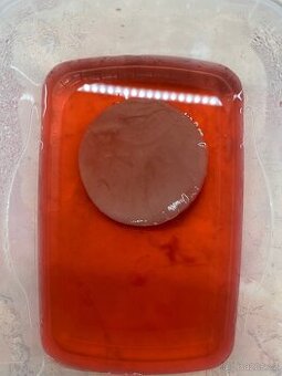 Kombucha - Scoby - Starter - 1