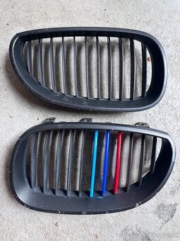 Ledvinky e60/e61