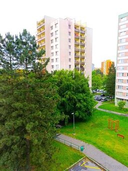 Pronájem bytu 1+kk 32 m² Lumírova, Ostrava - Výškovice