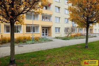 Brno - Královo Pole, byt OV 1+1, sklepní kóje, lodžie, inves