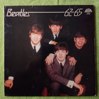 VINYLY LP /Maxisingl