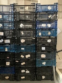 Prepravky plast  100 kusu