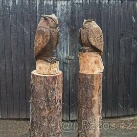 Sova motorovou pilou