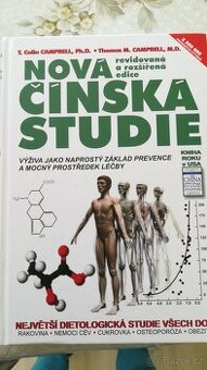 Čínská studie