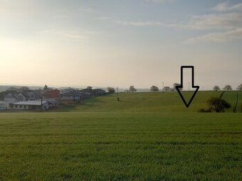 Prodám sad/louku u Kroměříže; 12 228 m2 s elektřinou