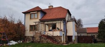 Brněnská francouzská křidlice