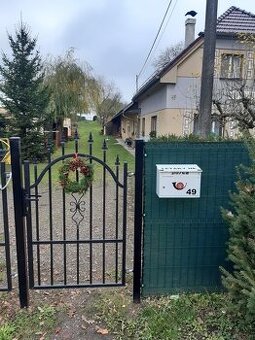 Prodám vratovou branku 90 na 150 s hroty