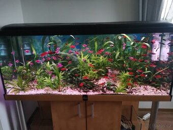 Akvarium diversa 450l