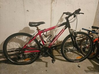 Schwinn