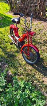 Babetta 207