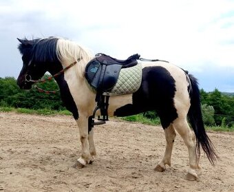 Pony kobylka