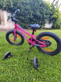 Specialized 16" Riprock Coaster