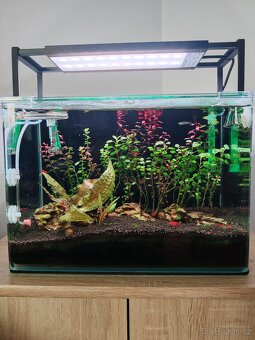 Zařízené akvárium BLAU Cubic 4025 - 28l (Krevetkárium)