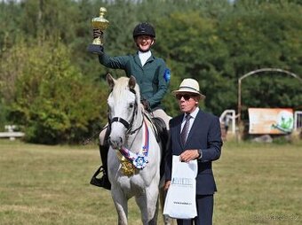 Nádherný valach na všechno:-)