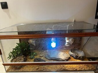 Terárium pro agamu s vybavením